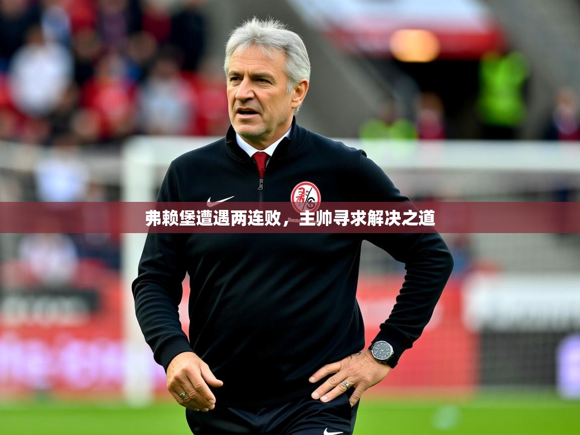 2025九游娱乐网站体验棒弗赖堡遭遇两连败，主帅寻求解决之道