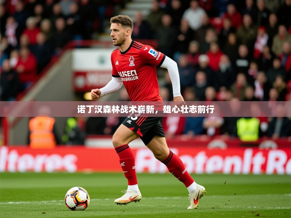 2025九游娱乐官方注册平台诺丁汉森林战术崭新，雄心壮志前行  第4张