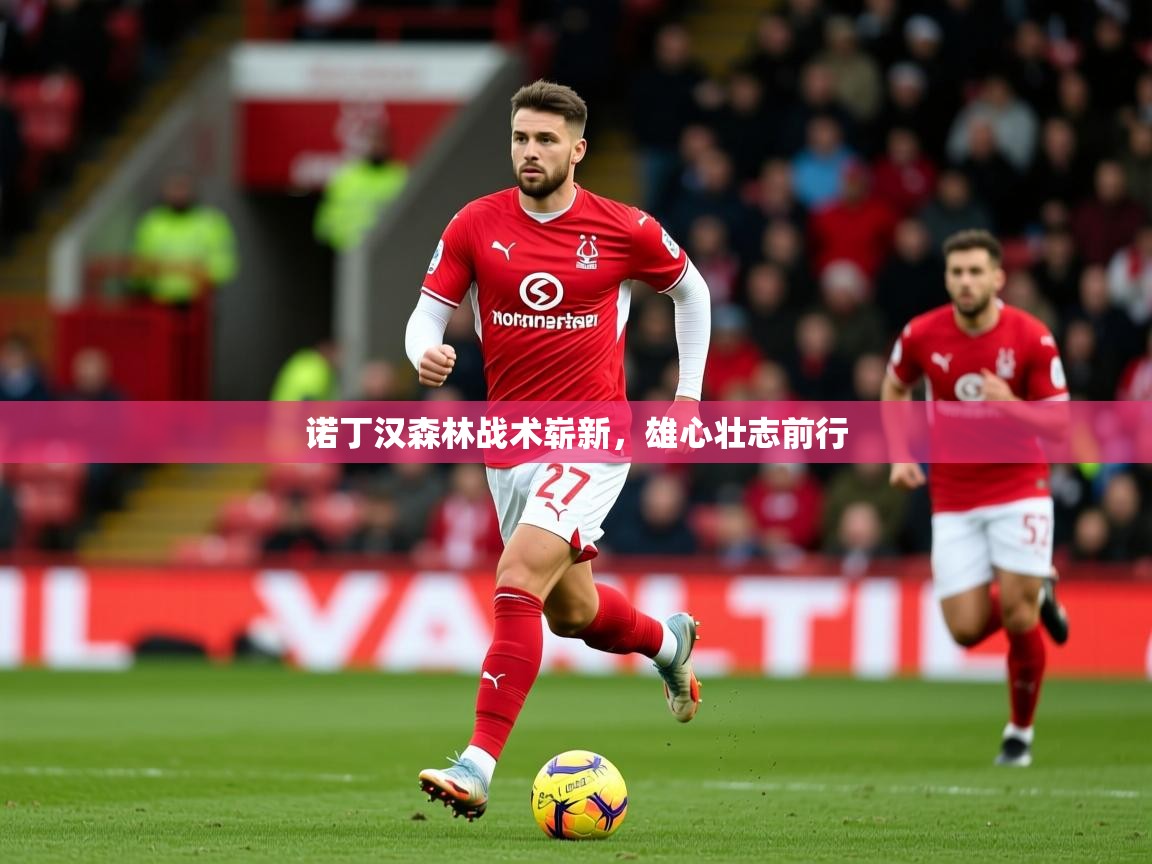 2025九游娱乐官方注册平台诺丁汉森林战术崭新，雄心壮志前行  第3张