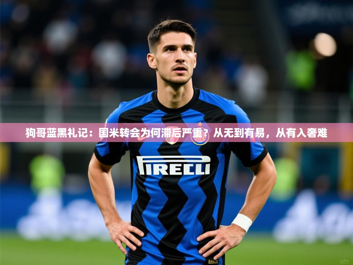 2025九游娱乐狗哥蓝黑礼记：国米转会为何滞后严重？从无到有易，从有入奢难  第1张