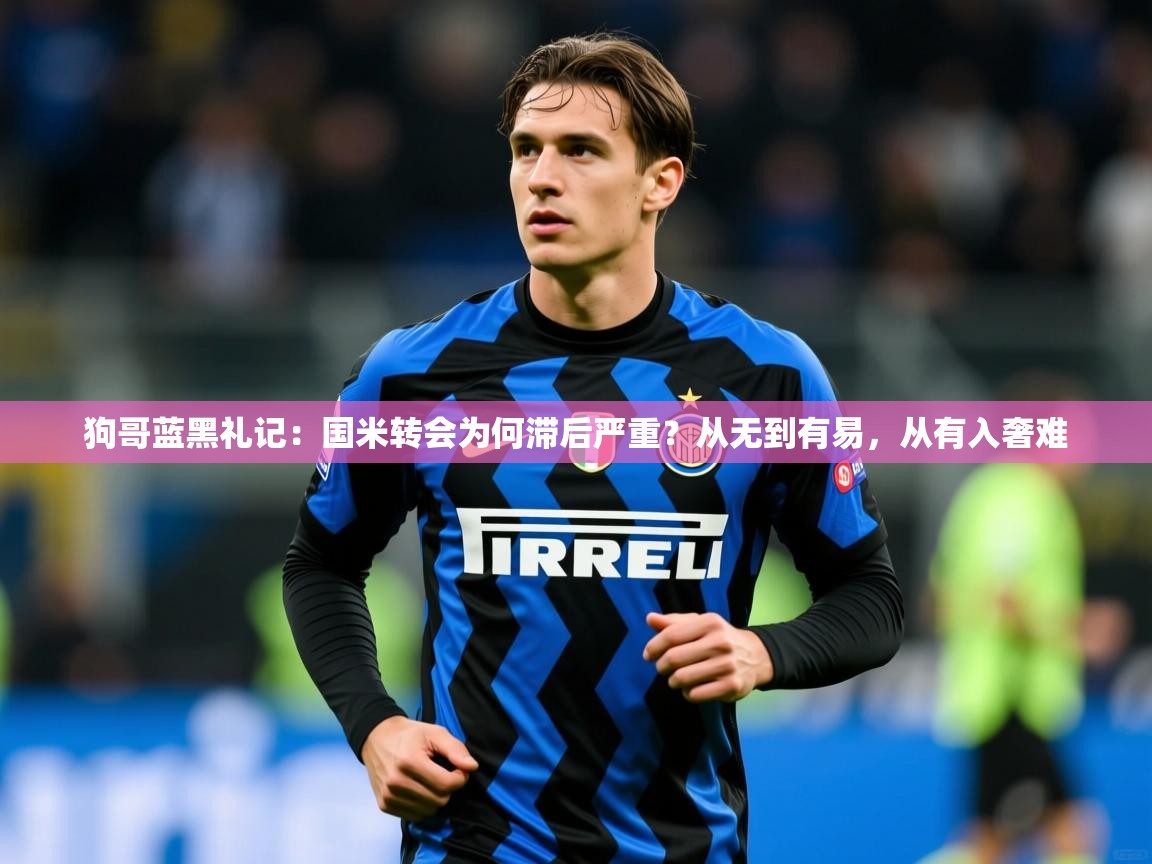2025九游娱乐狗哥蓝黑礼记：国米转会为何滞后严重？从无到有易，从有入奢难  第2张