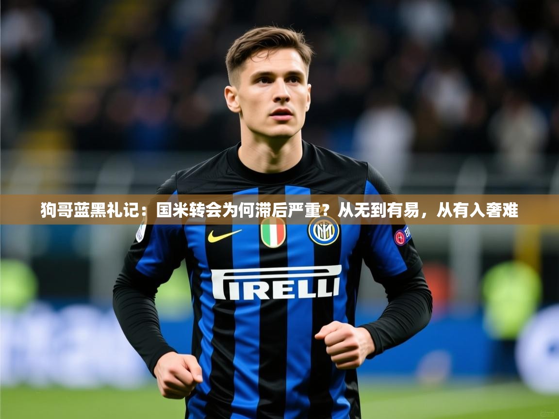 2025九游娱乐狗哥蓝黑礼记：国米转会为何滞后严重？从无到有易，从有入奢难  第3张