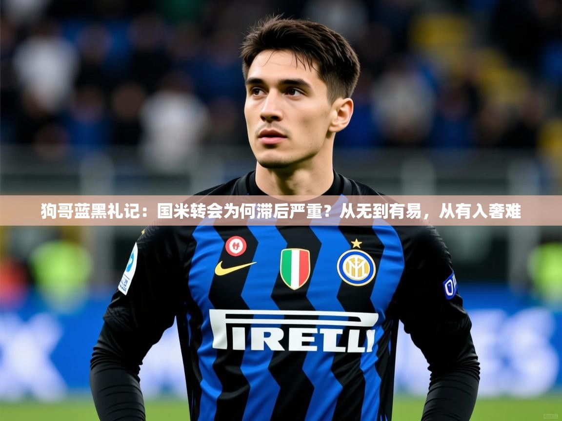 2025九游娱乐狗哥蓝黑礼记：国米转会为何滞后严重？从无到有易，从有入奢难  第4张