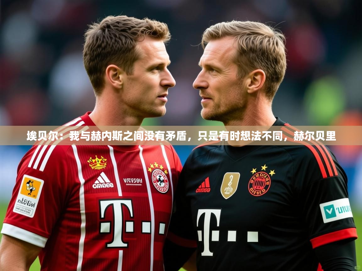 2025九游娱乐app下载埃贝尔：我与赫内斯之间没有矛盾，只是有时想法不同，赫尔贝里  第1张