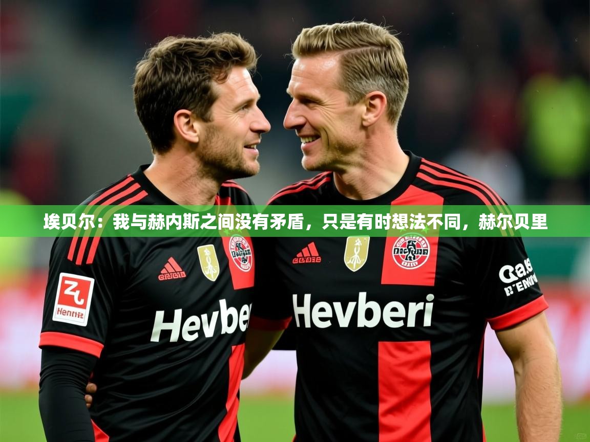 2025九游娱乐app下载埃贝尔：我与赫内斯之间没有矛盾，只是有时想法不同，赫尔贝里  第2张