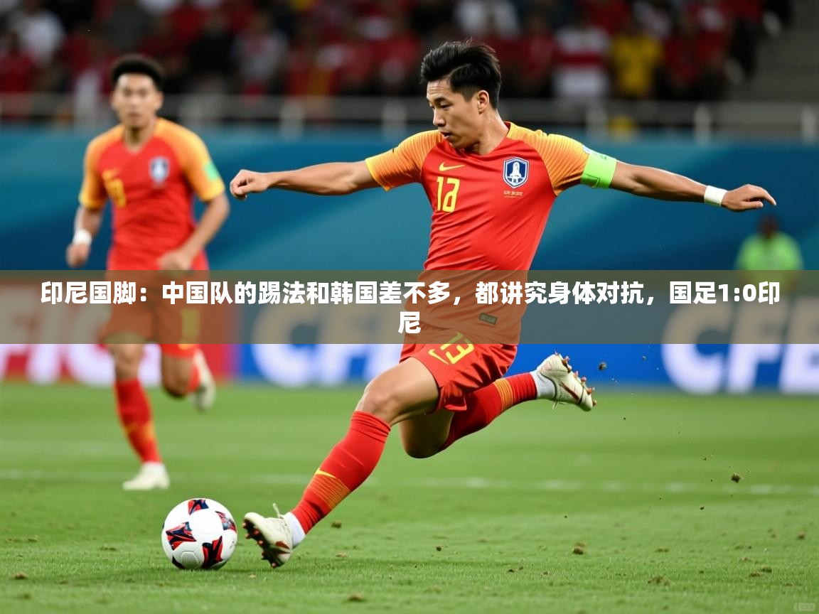 2025九游娱乐网页登录印尼国脚:中国队的踢法和韩国差不多,都讲究身体对抗,国足1:0印尼 第1张