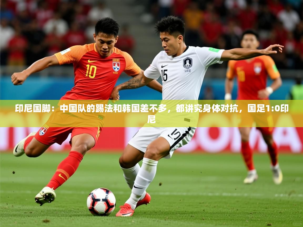 2025九游娱乐网页登录印尼国脚:中国队的踢法和韩国差不多,都讲究身体对抗,国足1:0印尼 第2张