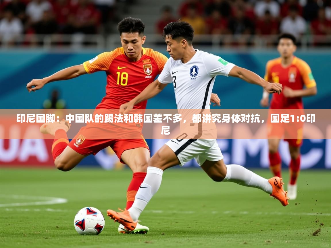 2025九游娱乐网页登录印尼国脚:中国队的踢法和韩国差不多,都讲究身体对抗,国足1:0印尼 第3张