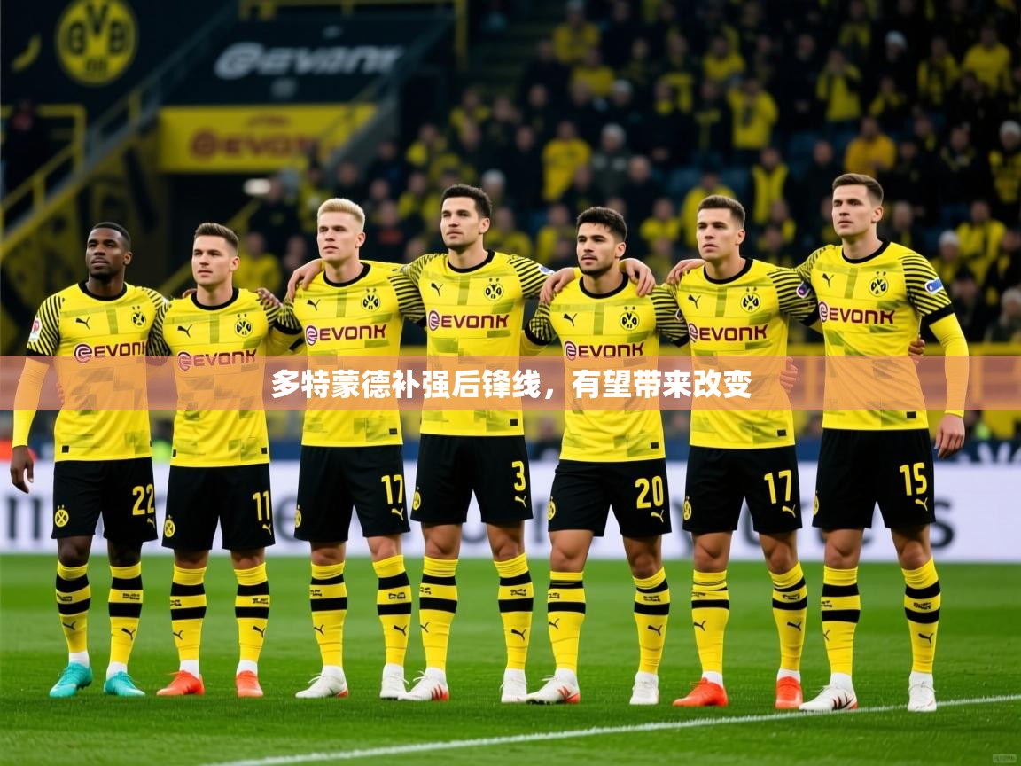 2025九游娱乐app下载多特蒙德补强后锋线，有望带来改变  第1张