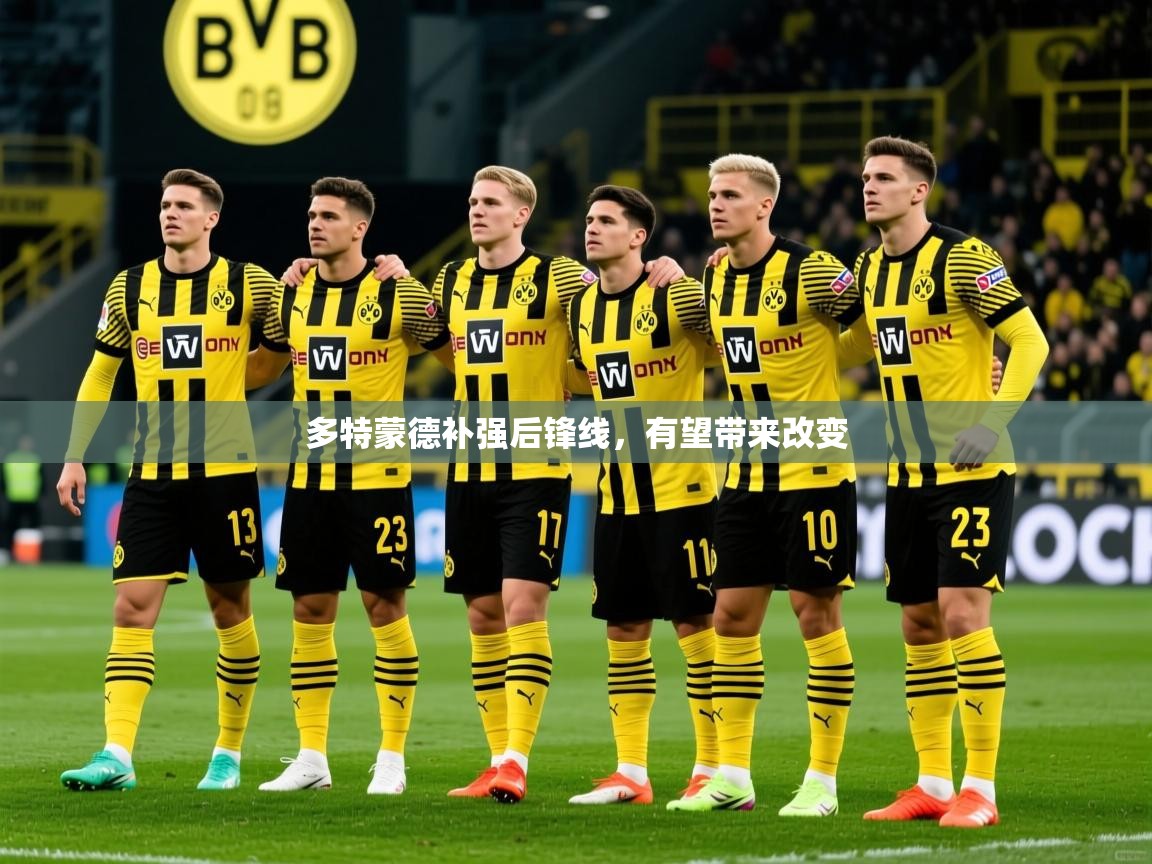 2025九游娱乐app下载多特蒙德补强后锋线，有望带来改变  第2张