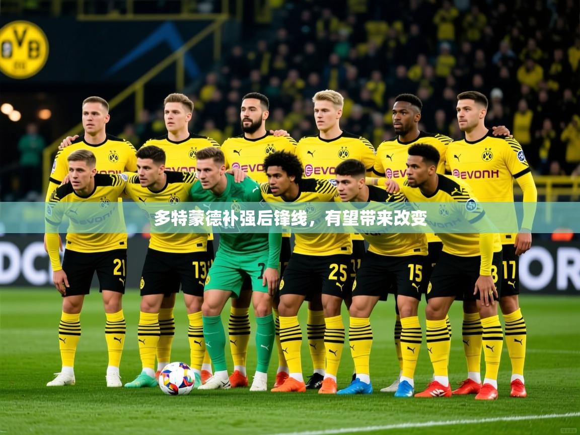 2025九游娱乐app下载多特蒙德补强后锋线，有望带来改变  第4张