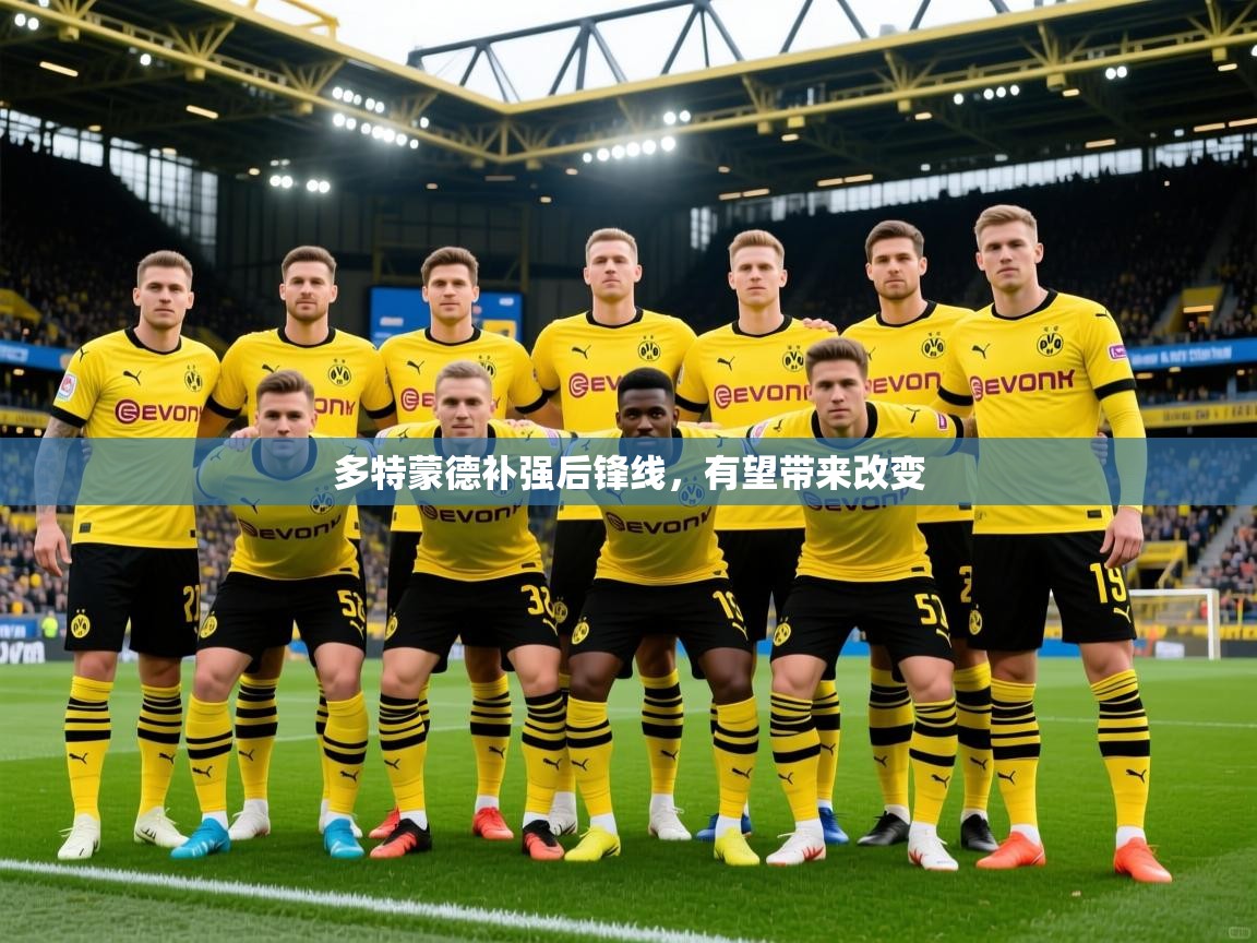 2025九游娱乐app下载多特蒙德补强后锋线，有望带来改变  第3张
