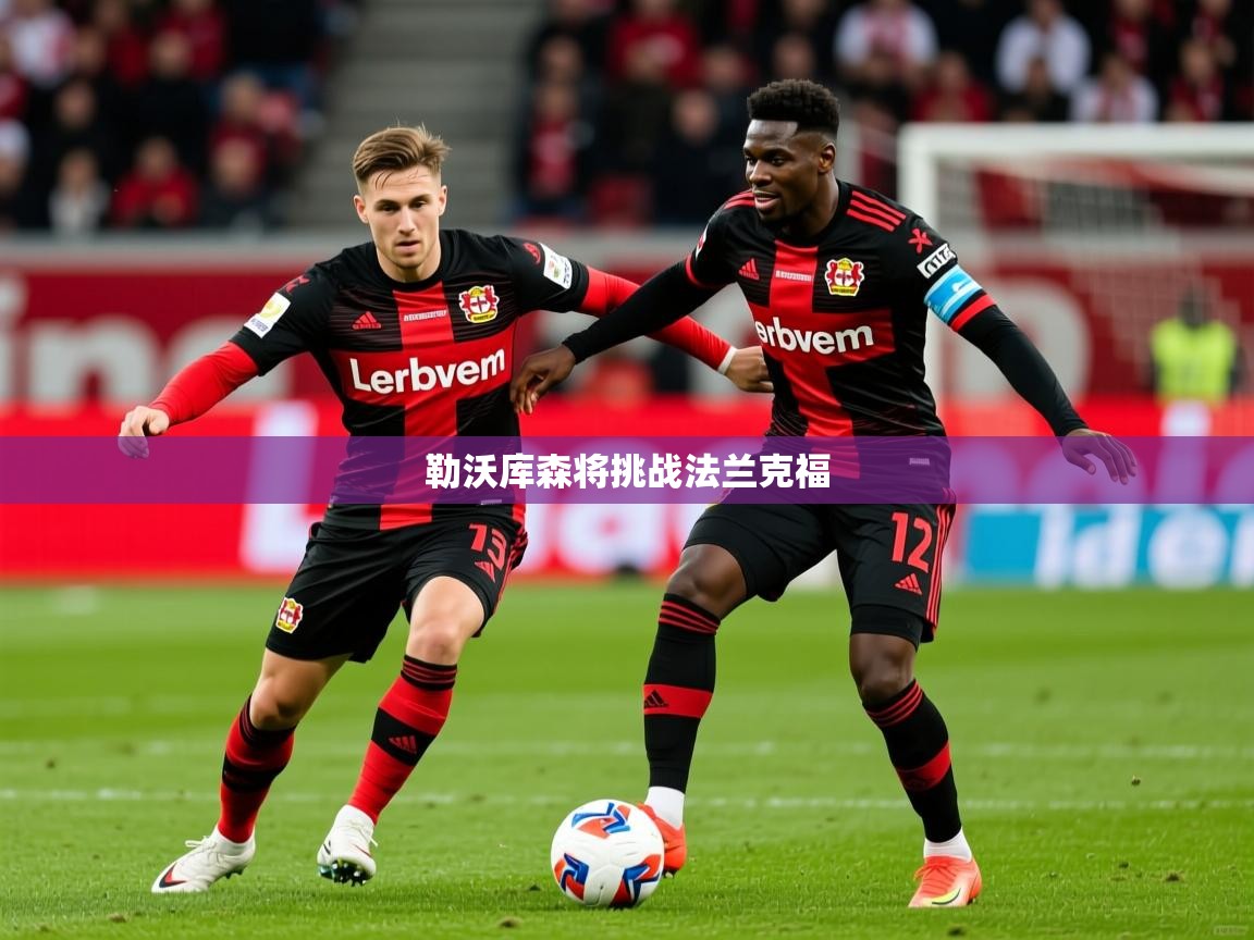 2026九游娱乐app是不莱梅的赞助商勒沃库森将挑战法兰克福  第3张