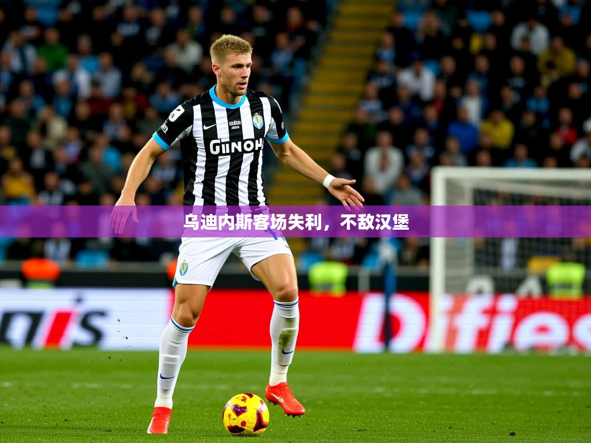 2026九游娱乐网站是不莱梅赞助商乌迪内斯客场失利,不敌汉堡 第3张