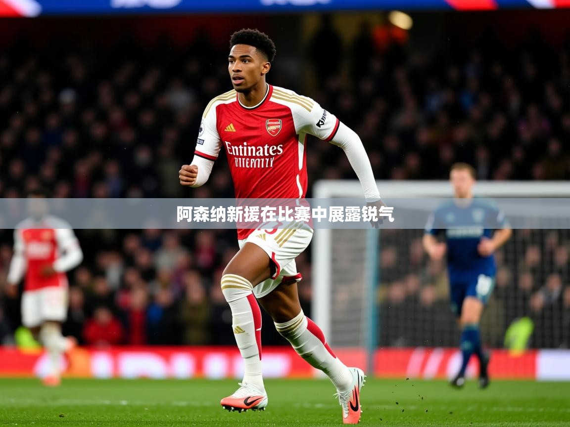 2026九游娱乐靠谱吗阿森纳新援在比赛中展露锐气  第3张