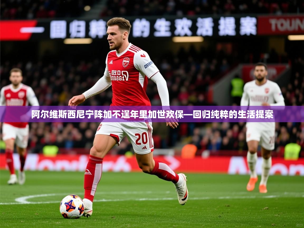 2026九游娱乐官网入口网页版官方阿尔维斯西尼宁阵加不逞年里加世欢保—回归纯粹的生活提案  第4张